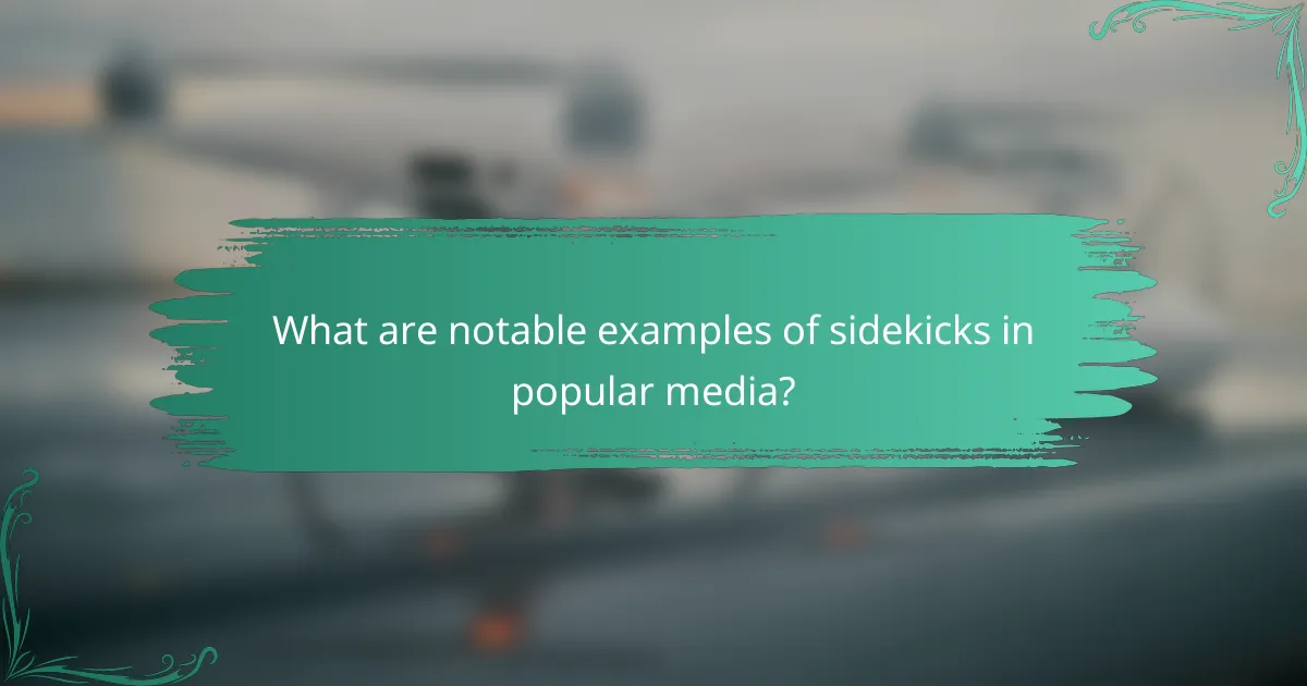 What are notable examples of sidekicks in popular media?