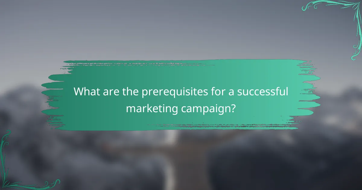 What are the prerequisites for a successful marketing campaign?